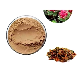 XXhealth Organic Rhodiola Rosea Powder Water Soluble Salidroside Rhodiola Rosea Root Extract Powder