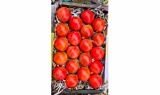 Pomegranates