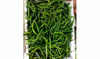 G4 Green Chilly