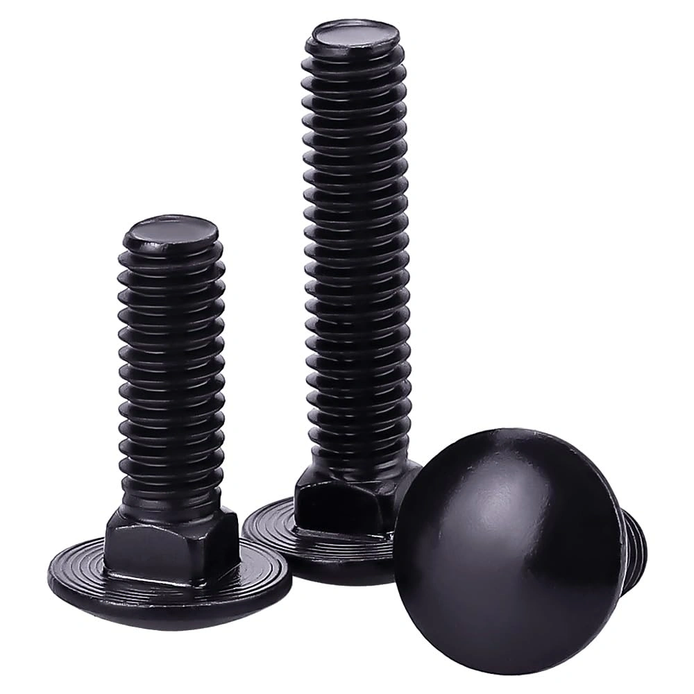 CARRIAGE BOLT-2