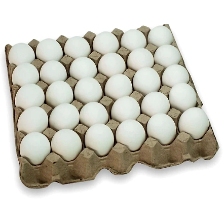 Premium White Eggs-1