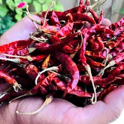 Dry Red Chilli-2