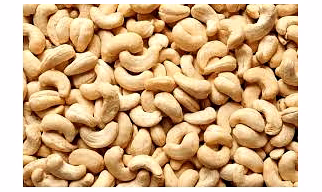 Cashew W180