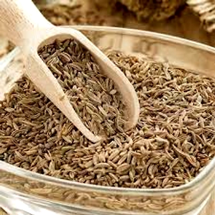 Cumin Seed-5