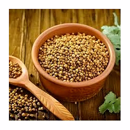 raut agro exim enterprises. coriander seeds (dhaniya seeds)