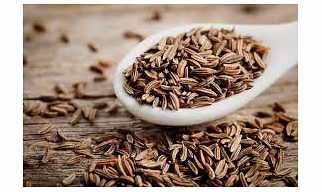 Cumin Seed