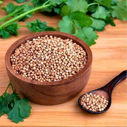Coriander Seeds (Dhaniya seeds)-2