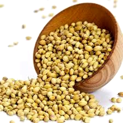 Coriander Seeds (Dhaniya seeds)-3