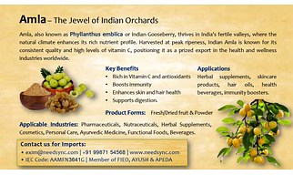 Amla Powder & Fruit