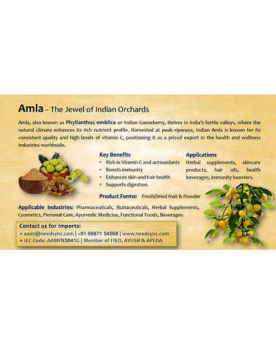 Amla Powder &amp; Fruit-004