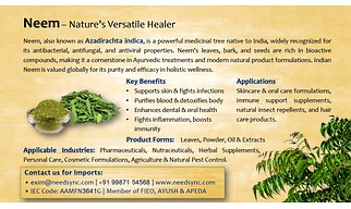 Neem Powder & Leaves