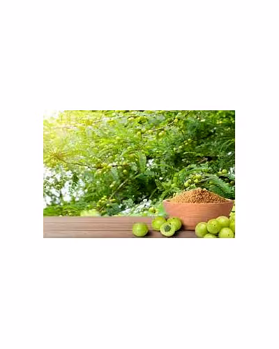 Amla Powder &amp; Fruit-1