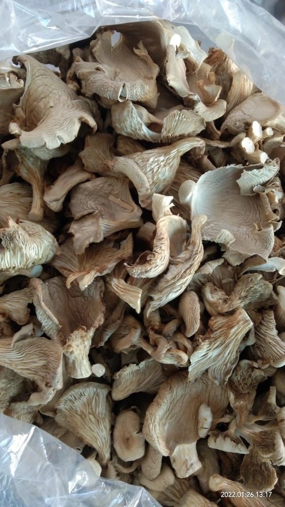 Dry Mushrooms-1