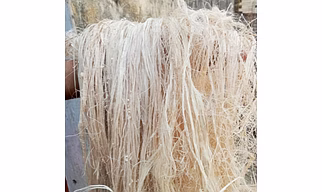 Sustainable Banana Fiber – Eco-Friendly & Biodegradable