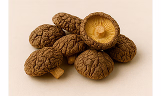 Nutrient-Packed Dry Mushrooms for Healthy Recipes