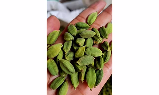Green Cardamom