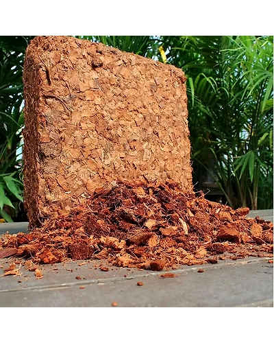 Coco Chips Block-12649177