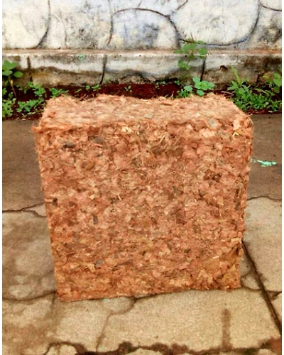 Coco Chips Block-2