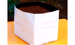 Grow Bag