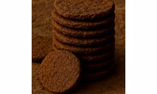 Cow dung cake
