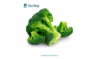 Broccoli