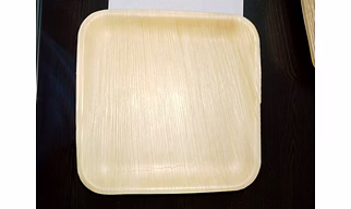 Areca Palm Plates & Bowls