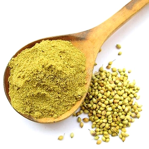 Spices | Coriander (Dhania) Powder | Natural, Aromatic & Flavorful Dhania Powder Ideal for Curries, Soups, Salads, Marinades & More | No Preservatives, Artificial Colors | 1kg