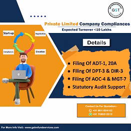 private limited company compliance (expected turnover <10 lakhs)
