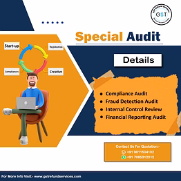 special audit