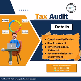 tax audit