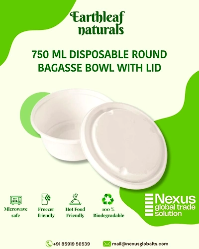 750 ml Round Disposable Bagasse Bowl with lid-DBB-750-008