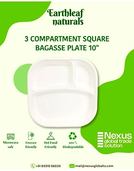3 Compartment Disposable Square Bagasse Plate 10"