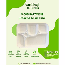 5 compartment disposable bagasse meal tray