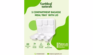 5 Compartment Disposable bagasse Meal Tray with lid