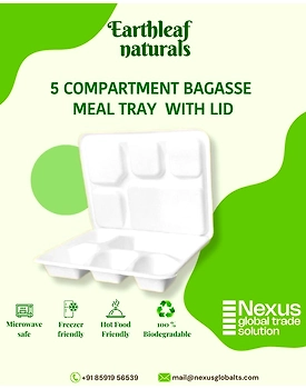 5 Compartment Disposable bagasse Meal Tray with lid