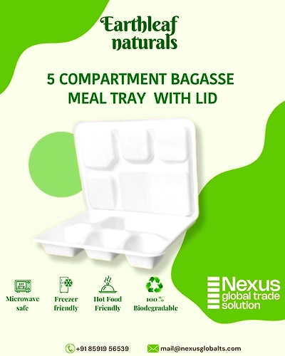 5 Compartment Disposable bagasse Meal Tray with lid-DMT-05-002