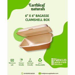 6" x 6" disposable clamshell box