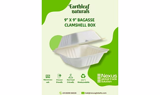 9" x 9" Disposable bagasse clamshell box