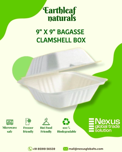 9&quot; x 9&quot; Disposable bagasse clamshell box-DCB-09-003