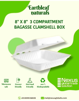 8" x 8" 3 compartment disposable bagasse clamshell box