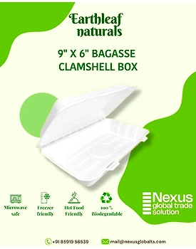9" x 6" Disposable bagasse clamshell box