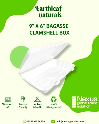 9&quot; x 6&quot; Disposable bagasse clamshell box-DCB-09-005