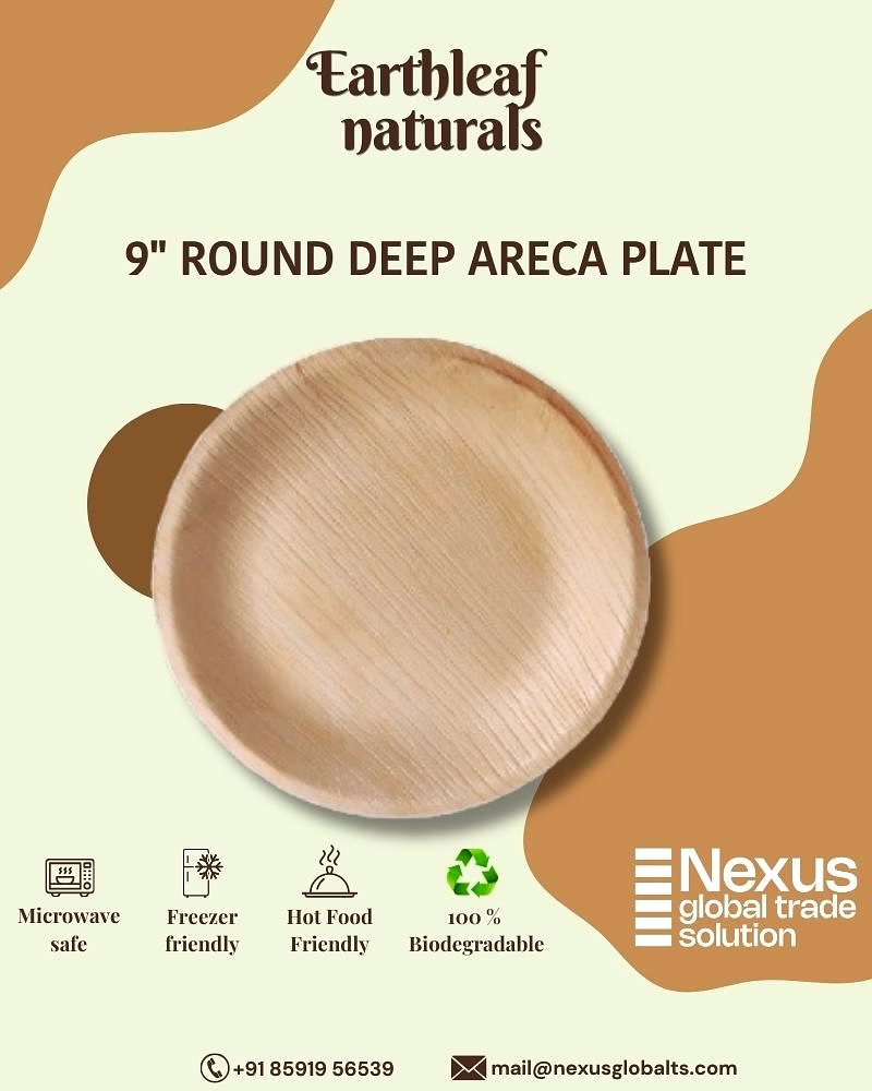 9" round disposable areca plate