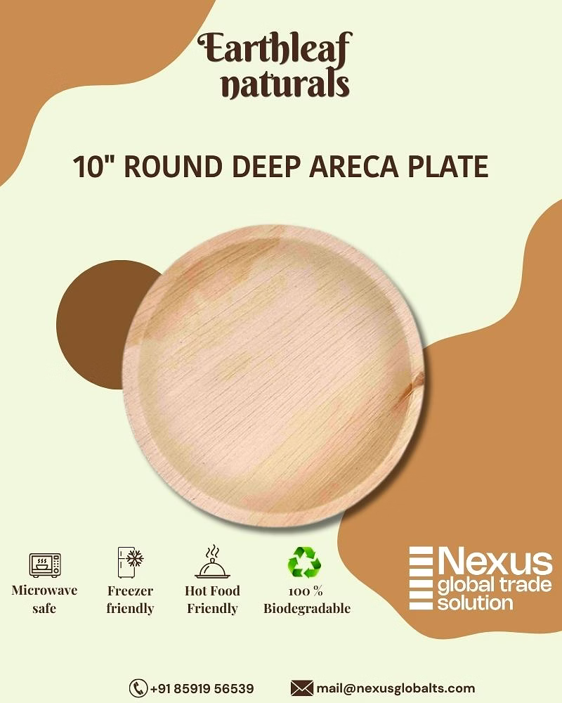 10" round disposable areca plates