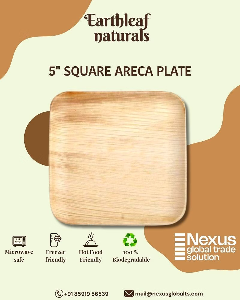 5" square disposable areca plate
