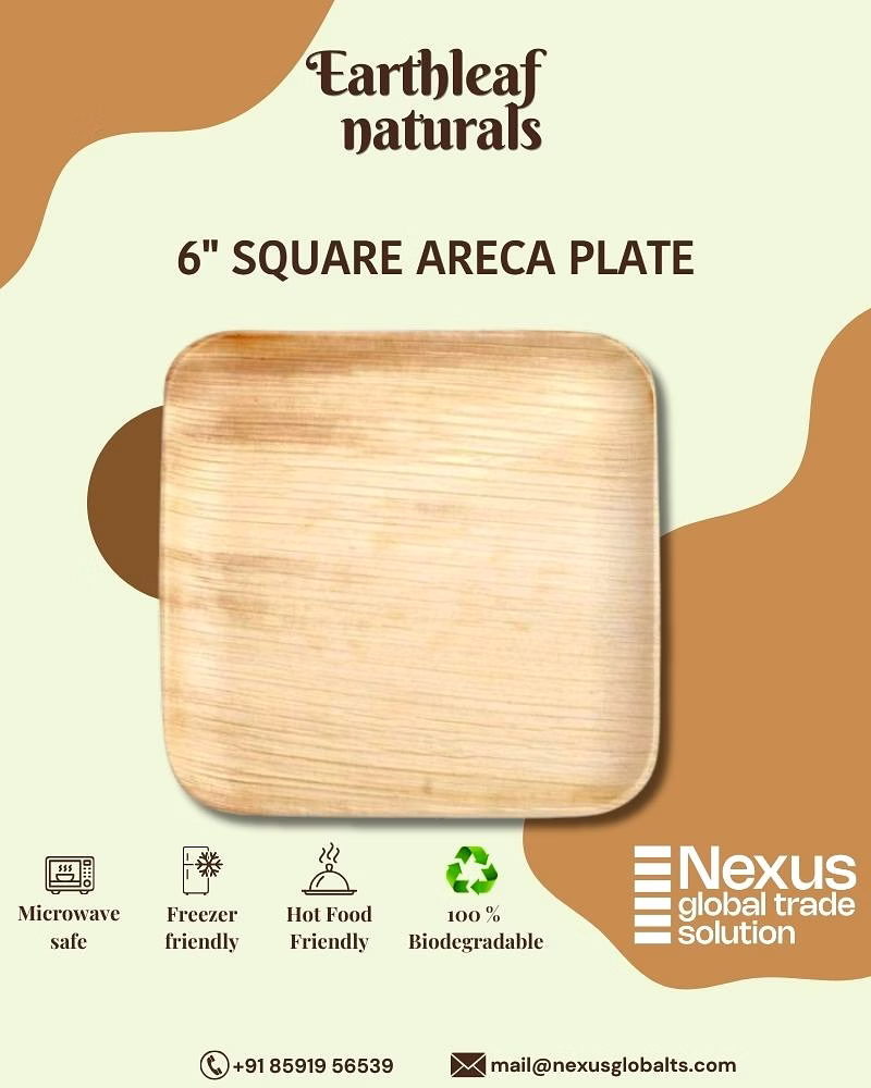 6" square disposable areca plates