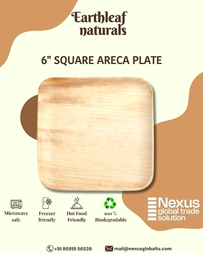 6&quot; Square Disposable areca plates-DAP-06-002