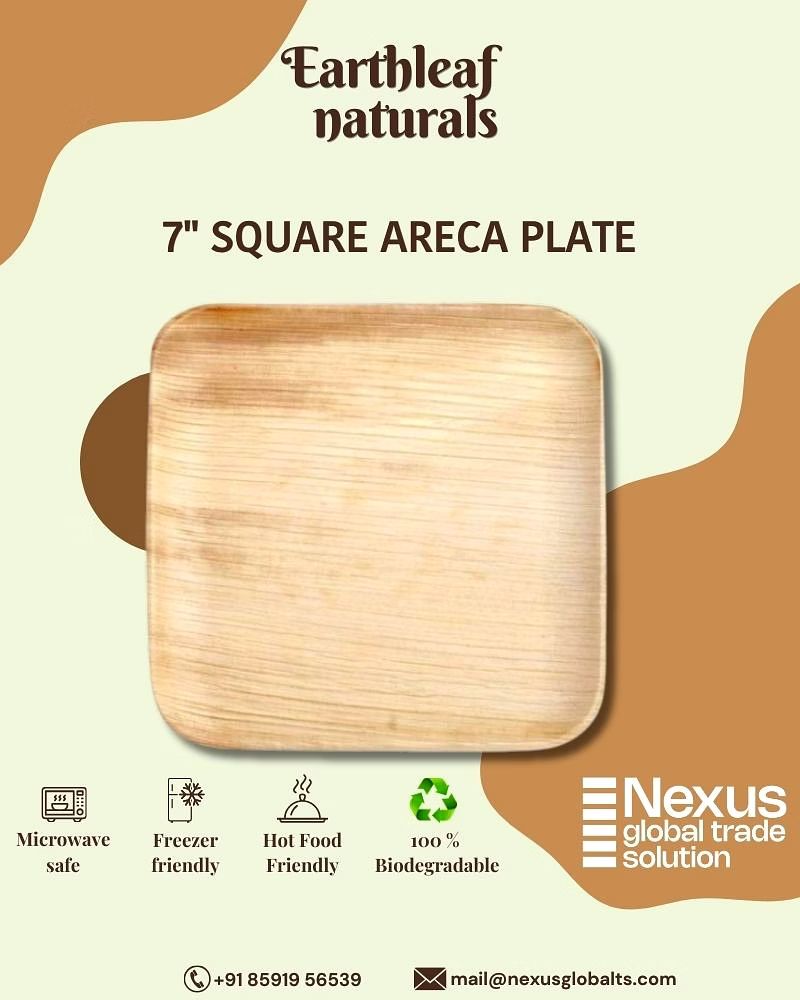 7" square disposable areca palm