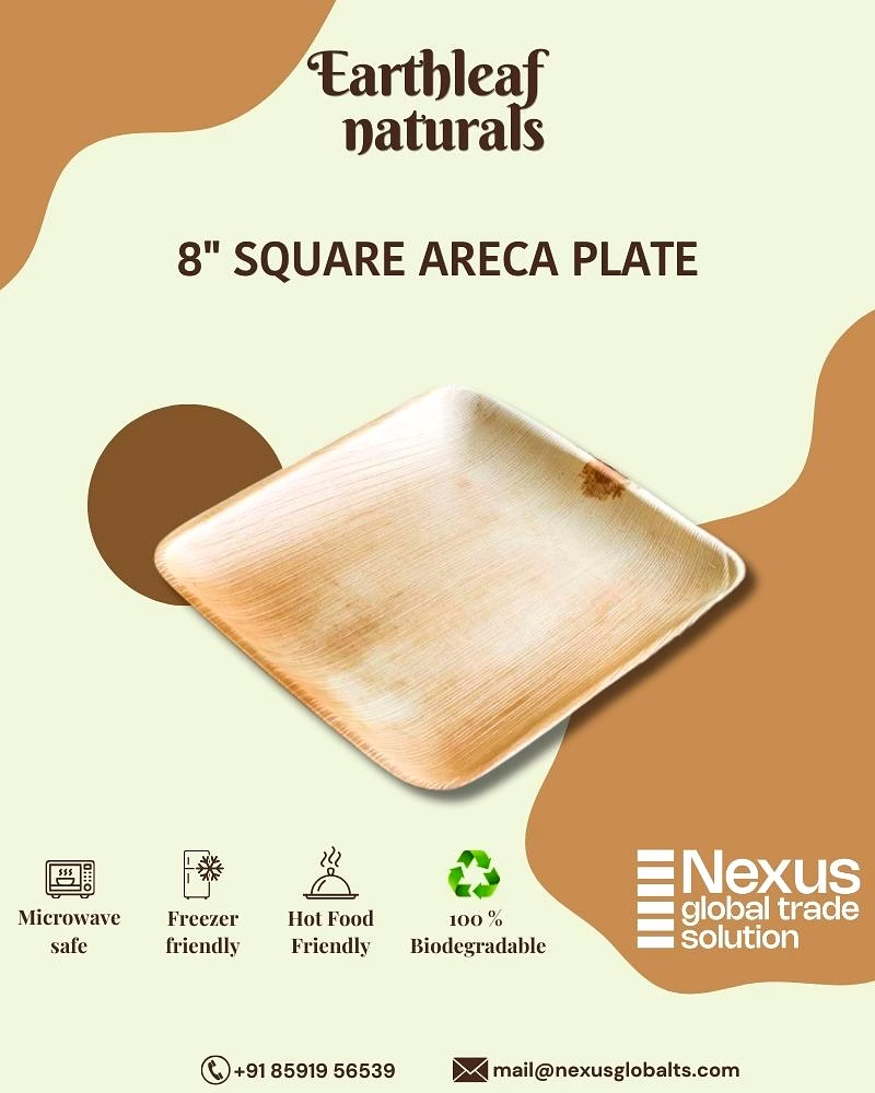 8" square disposable areca plates