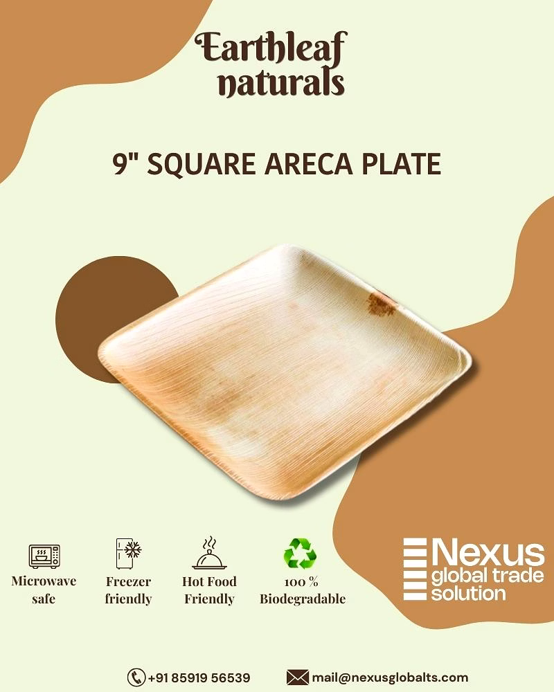 9" square disposable areca plates